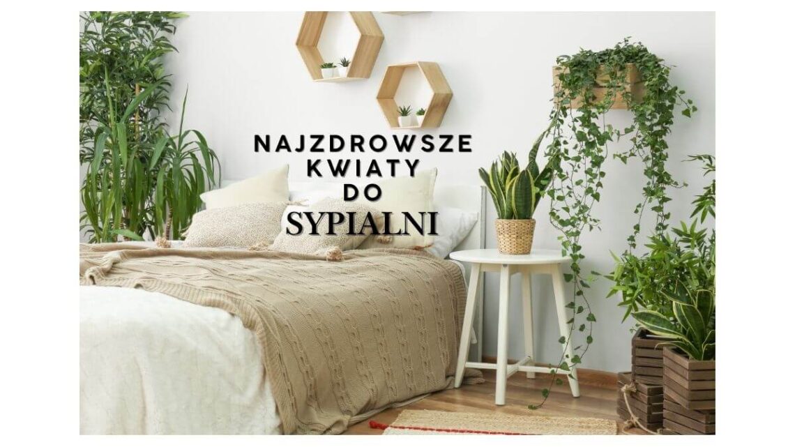Najzdrowsze kwiaty do sypialni