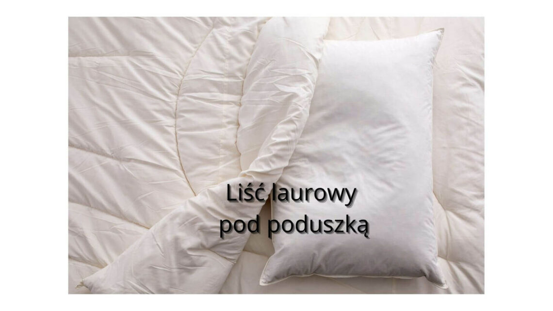 Liść laurowy pod poduszką – co oznacza ten zwyczaj i jakie ma działanie?