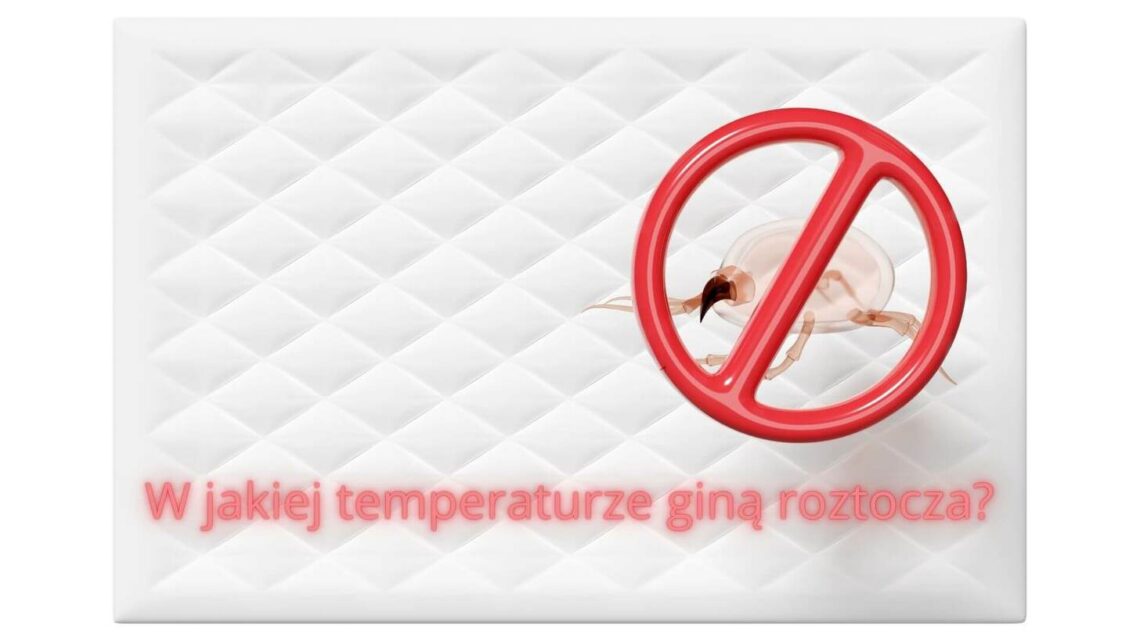 W jakiej temperaturze giną roztocza? Odkryj skuteczne metody eliminacji