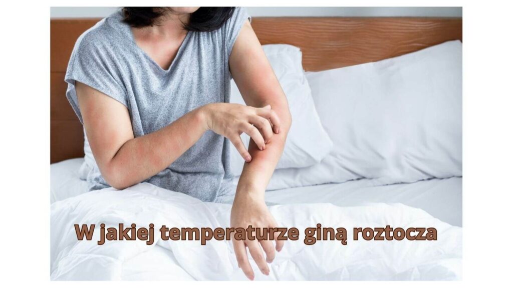 W jakiej temperaturze giną roztocza? Odkryj skuteczne metody eliminacji