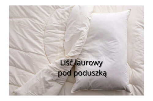 Liść laurowy pod poduszką – co oznacza ten zwyczaj i jakie ma działanie?